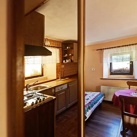 Apartmaji Pr-Gujlu Sela Nad Podmelcem 5220 Tolmin Podmelec Exterior photo