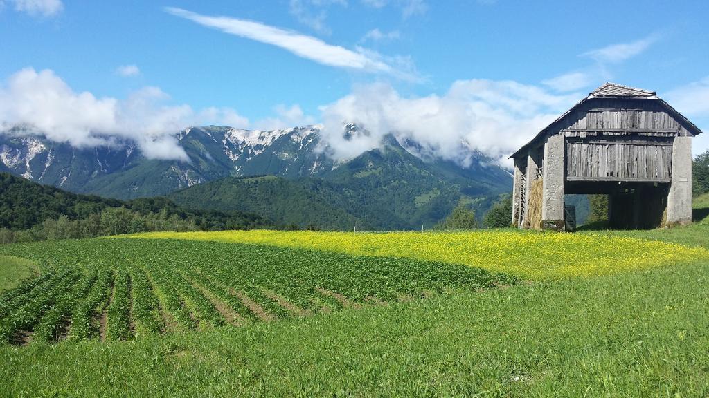 Apartment Apartmaji Pr-gujlu Sela Nad Podmelcem 5220 Tolmin