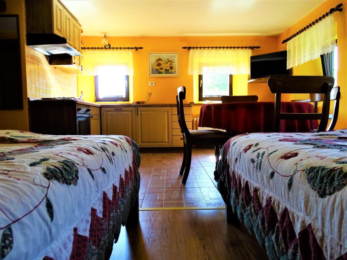 Apartmaji Pr-gujlu Sela Nad Podmelcem 5220 Tolmin Apartment *